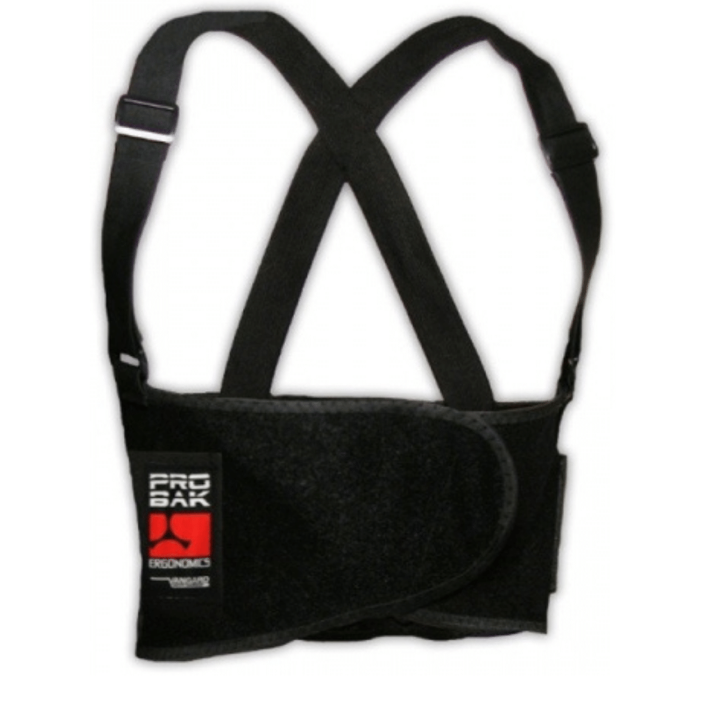 BACK SUPPORT BELT